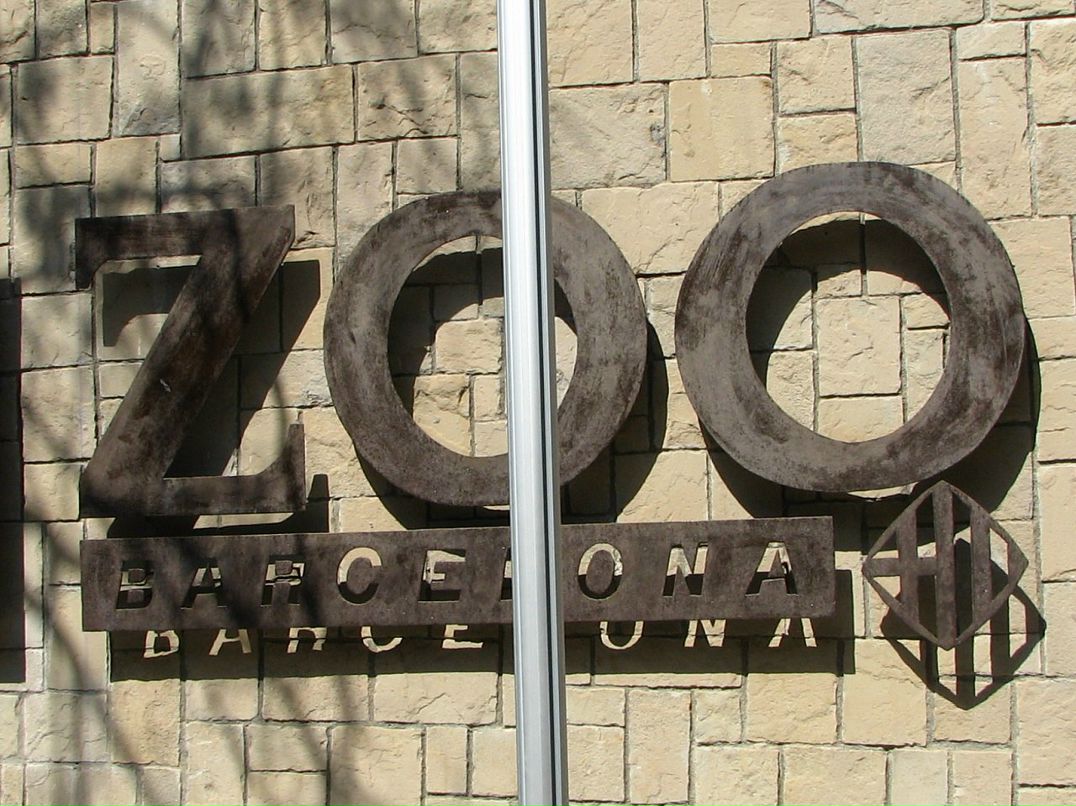 Dmitry Joy фотография #15