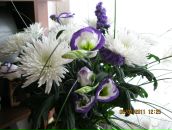 Фотография Фроловой Татьяны