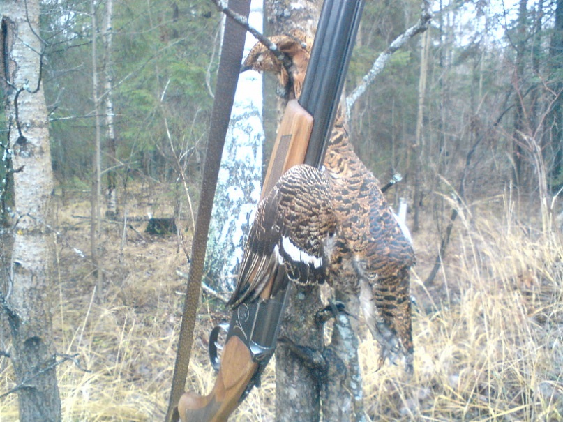 Дима Васкеев фотография #29