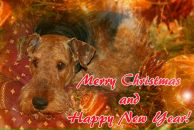 Фотография Беляевой Екатерины