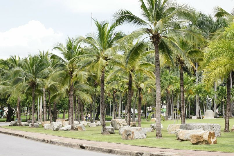 Иван Пешков фотография #25