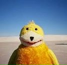 Фотография Владимировича Петра