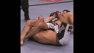 UFC 244: 500 сабмишенов