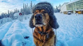 Премьера! Мэвл - Холодок (фан клип)