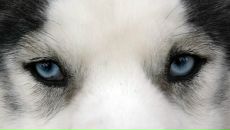 Фотография Добродеевой Татьяны