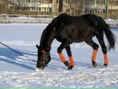 Найк ...™ фотография #23 (источник - https://vk.com/id101479513)