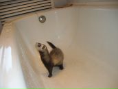 Дима Сергеевич фотография #39 (источник - https://vk.com/id1479155)