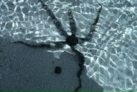 Дмитрий Минаков фотография #15 (источник - https://vk.com/id2820287)