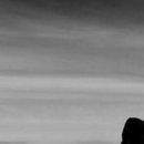 Дмитрий Щербаков фотография #24 (источник - https://vk.com/id39001049)