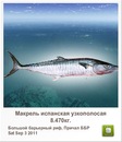 Иван Бабинец фотография #33 (источник - https://vk.com/id120069385)