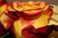 Марина Скобялко фотография #42 (источник - https://vk.com/id254502)