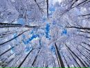 Фотография Зариповой Ильсияр