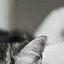 Сірожа Стицюк фотография #36 (источник - https://vk.com/id133380888)