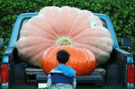 Мариам Давыдова фотография #43 (источник - https://vk.com/id900346)