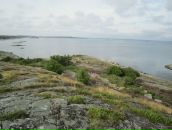 Вероніка Козаченко фотография #44 (источник - https://vk.com/id7754428)