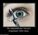 Фотография Тумаева Дмитрия