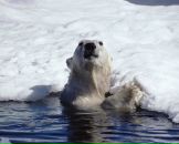 Фотография Гиниятуллина Дима