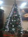 Валерія Торіна фотография #5 (источник - https://vk.com/id66061694)