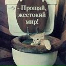 Фотография Алексей Пудков
