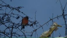 Фотография Соколовой Яны