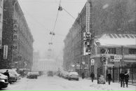 Фотография Корневой Ольги