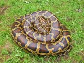 Фотография Vladimirova Lilya