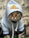 Діма Кучер фотография #4 (источник - https://vk.com/id99853507)