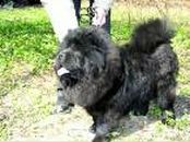 Надя Петріянчук фотография #33 (источник - https://vk.com/id71486847)