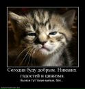 Фотография Пилявиной Анастасии