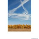 Віктор Гончар фотография #18 (источник - https://vk.com/id37603511)