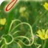 Юля Цідило фотография #50 (источник - https://vk.com/id135788843)