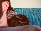 Фотография Шеффер Кристины