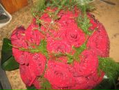 Фотография Серебровой Елены