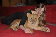 Фотография Стрижковой Виолетты