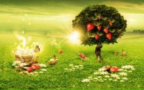 Фотография  