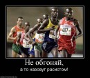 Сіроманець Патріот фотография #22 (источник - https://vk.com/id17582037)