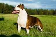 Фотография Горелова Владимира