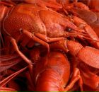 Чингиз Хан фотография #11 (источник - https://vk.com/id1487301)