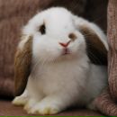 Фотография Малишевской Анны