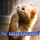 Іван Чепа фотография #17 (источник - https://vk.com/id148920590)
