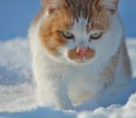 Dave D-Angelo фотография #1