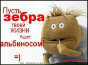 Bot Reating фотография #1