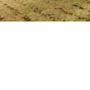 Вікуся Родіна фотография #33 (источник - https://vk.com/id78531355)