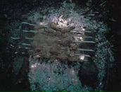 Олександр Наумік фотография #35 (источник - https://vk.com/id111495359)