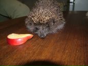 Юля Камінська фотография #6 (источник - https://vk.com/id68986702)