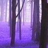Віола Кравчук фотография #31 (источник - https://vk.com/id150959655)