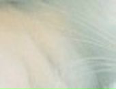 Лєра Щербина фотография #21 (источник - https://vk.com/id68521705)