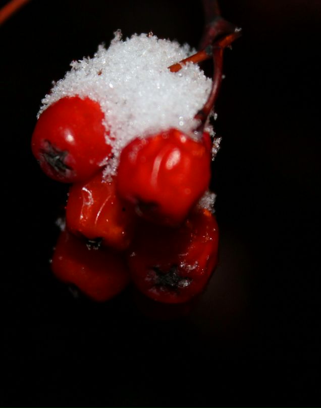 Дарья Базанова фотография #18