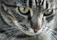 Фотография Бурковой Олеси