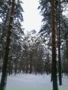 Дмитрий Шаров фотография #13 (источник - https://vk.com/id3186760)